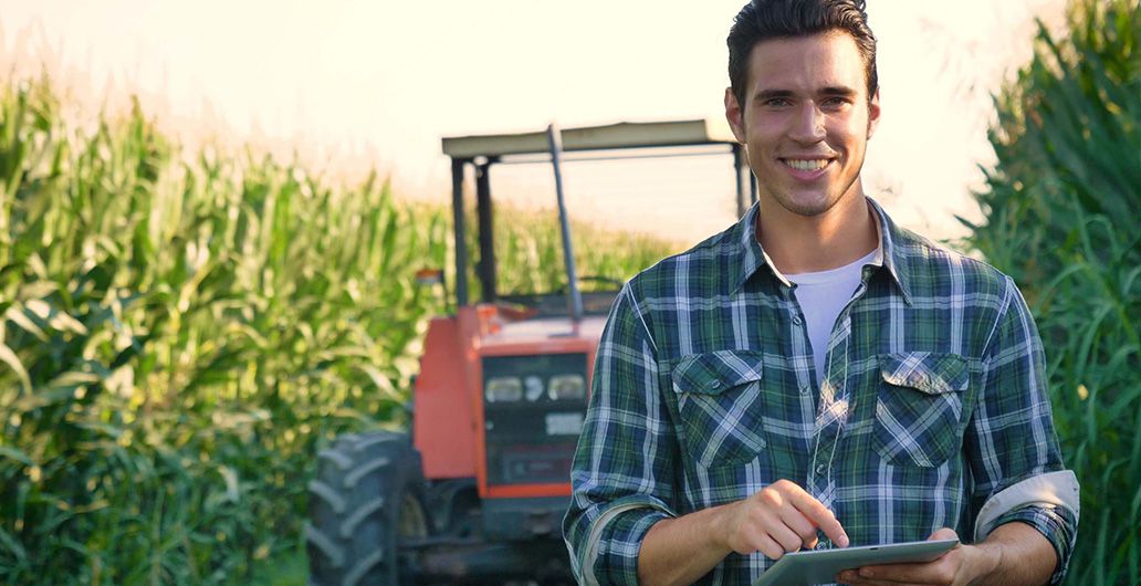 Stage agricole et programme d’anglais 