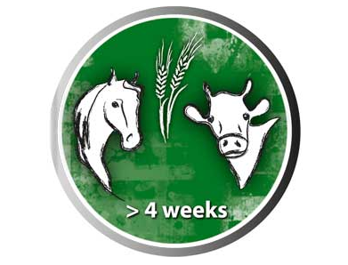 Stage agricole et programme d’anglais 